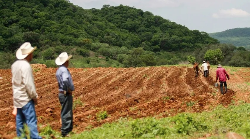 Seguridad e inversión detonarán la economía de Sonora