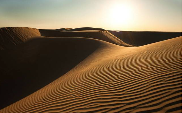 Con paisajes que quitan el aliento y con una amplia biodiversidad, el desierto de Sonora es uno de los ecosistemas más especiales que existen