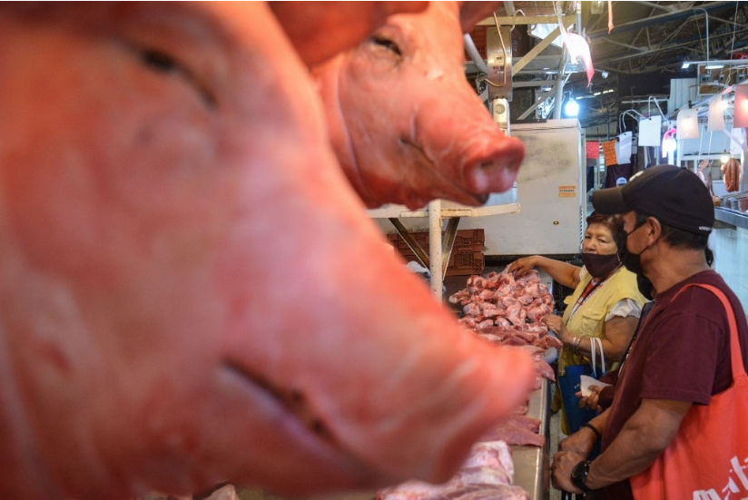 Productores porcícolas están quebrando en Sonora, Sinaloa y el centro del país, donde granjas han cerrado debido a la crisis derivada de que venden por abajo de sus costos de producción